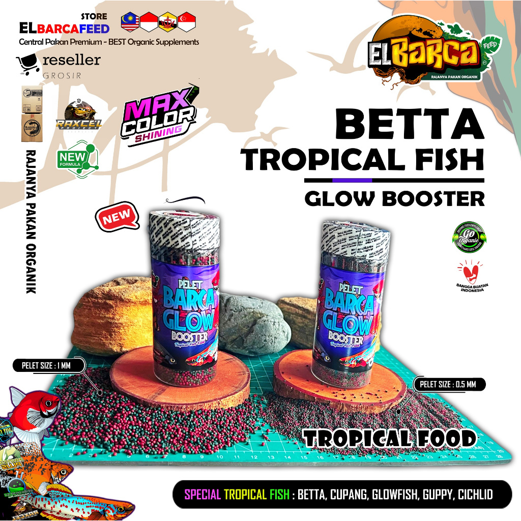 Elbarcafeed Pelet BETTA FISH Glow Booster special pakan ikan hias kecil betta cupang glowfish cichli