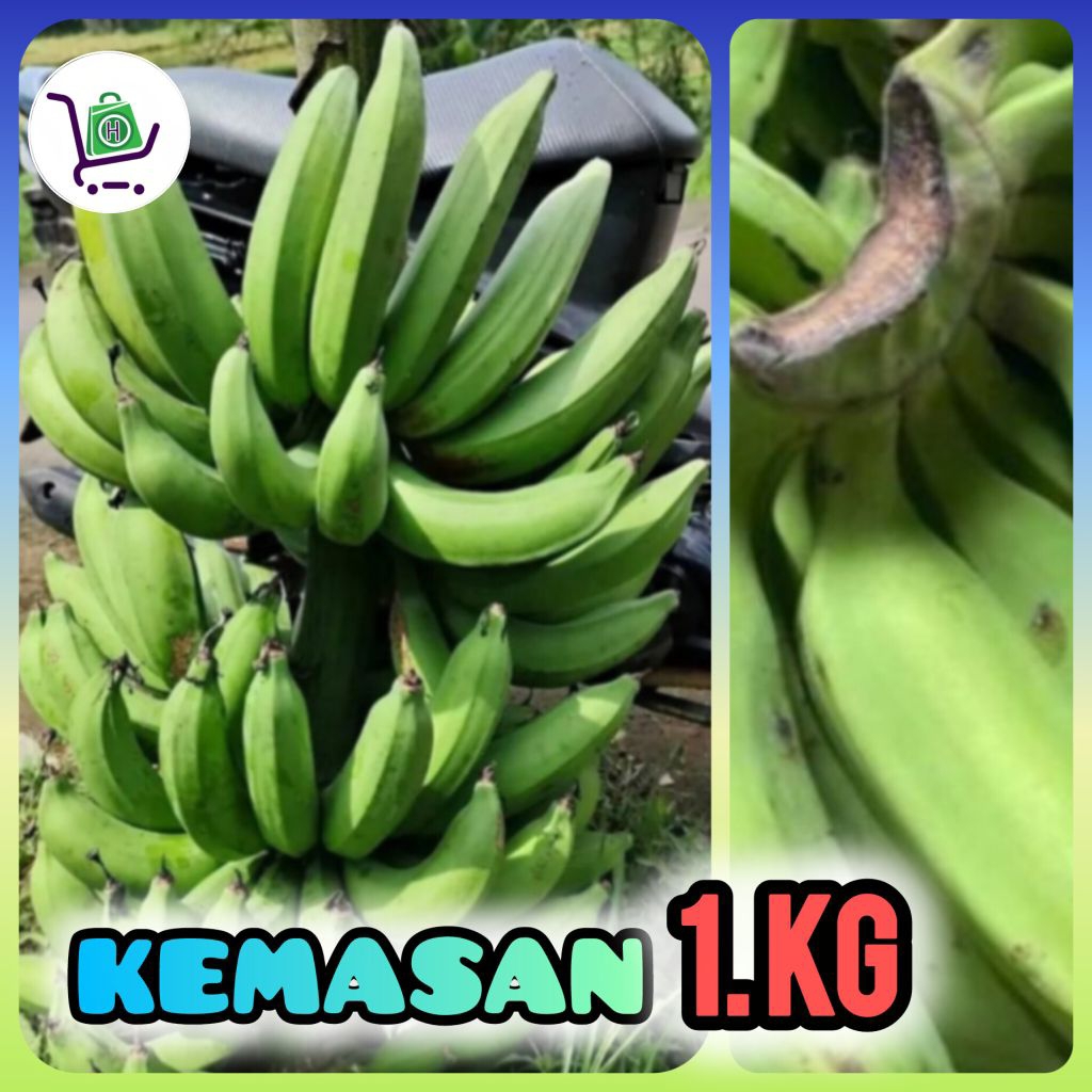 Buah pisang tanduk super 1kg / pisang tanduk / pisang uli