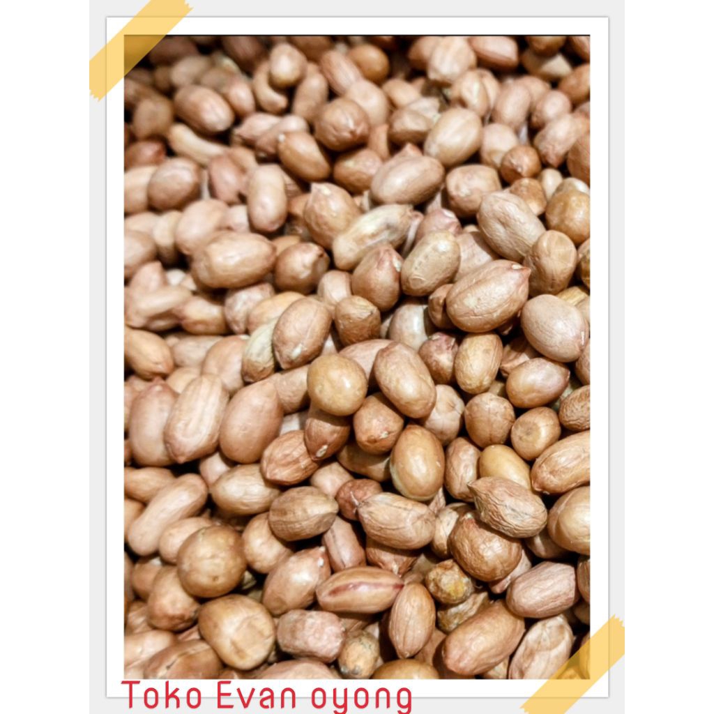 Kacang Tanah 1kg