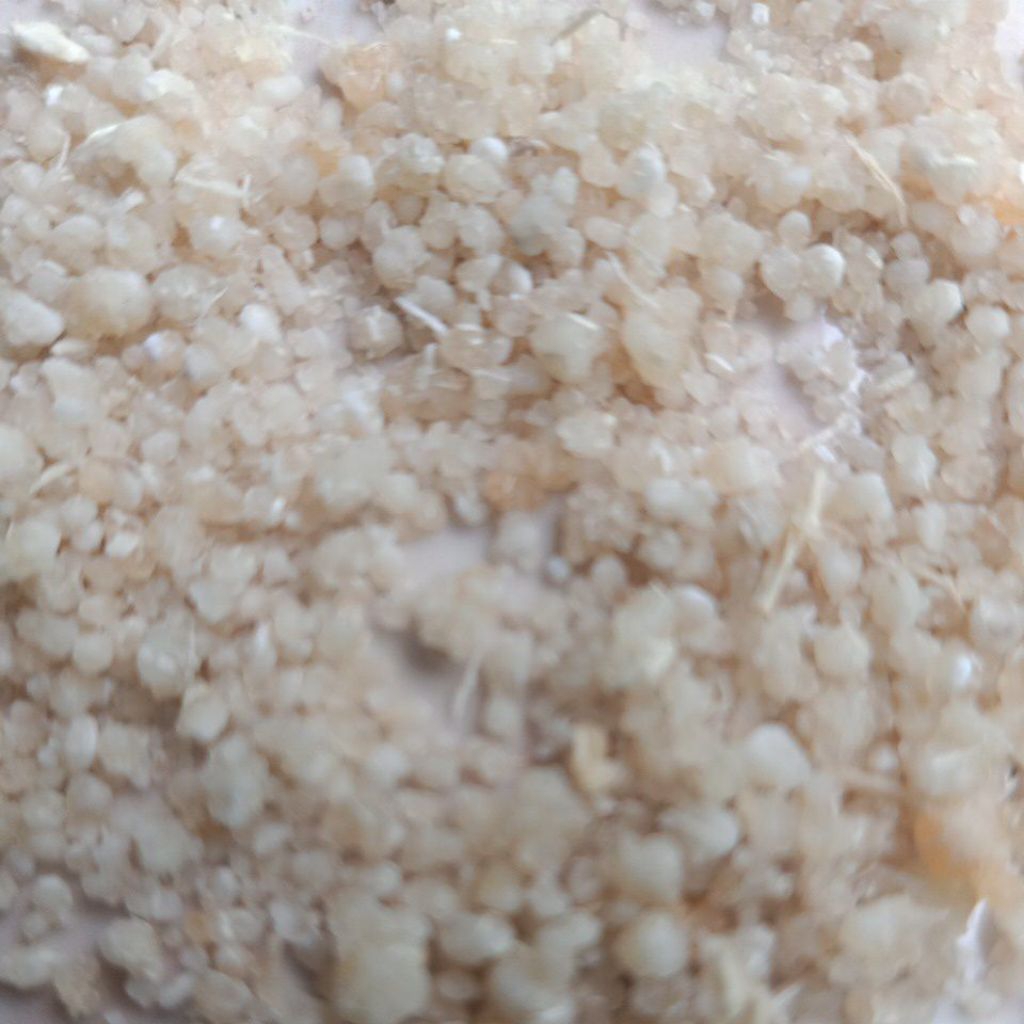 oyek 1 kg singkong putih bersih