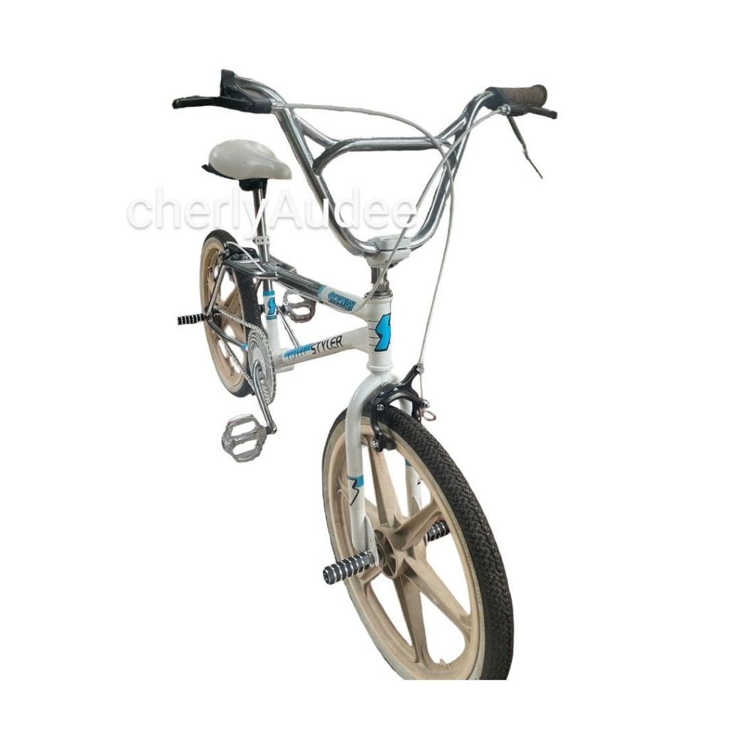 BMX Skyway White
