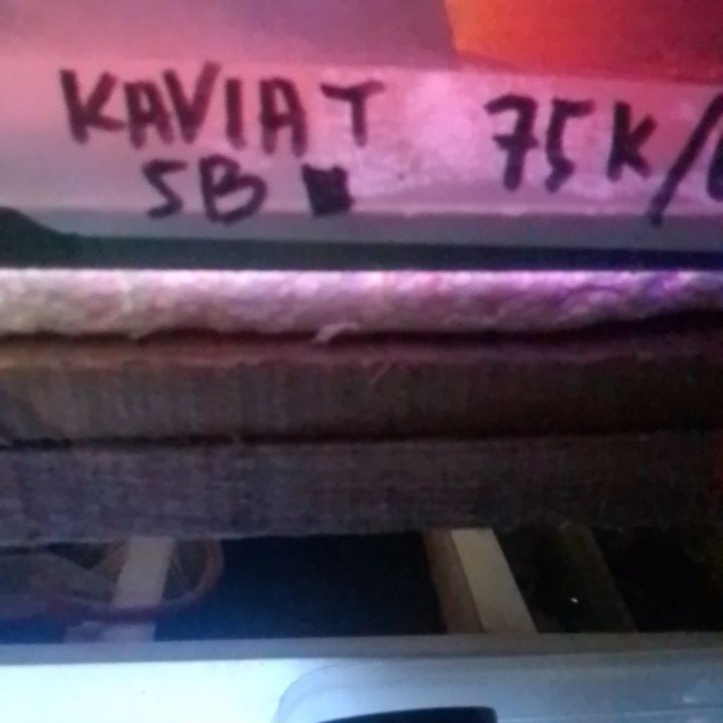 sticker kaviat SB king