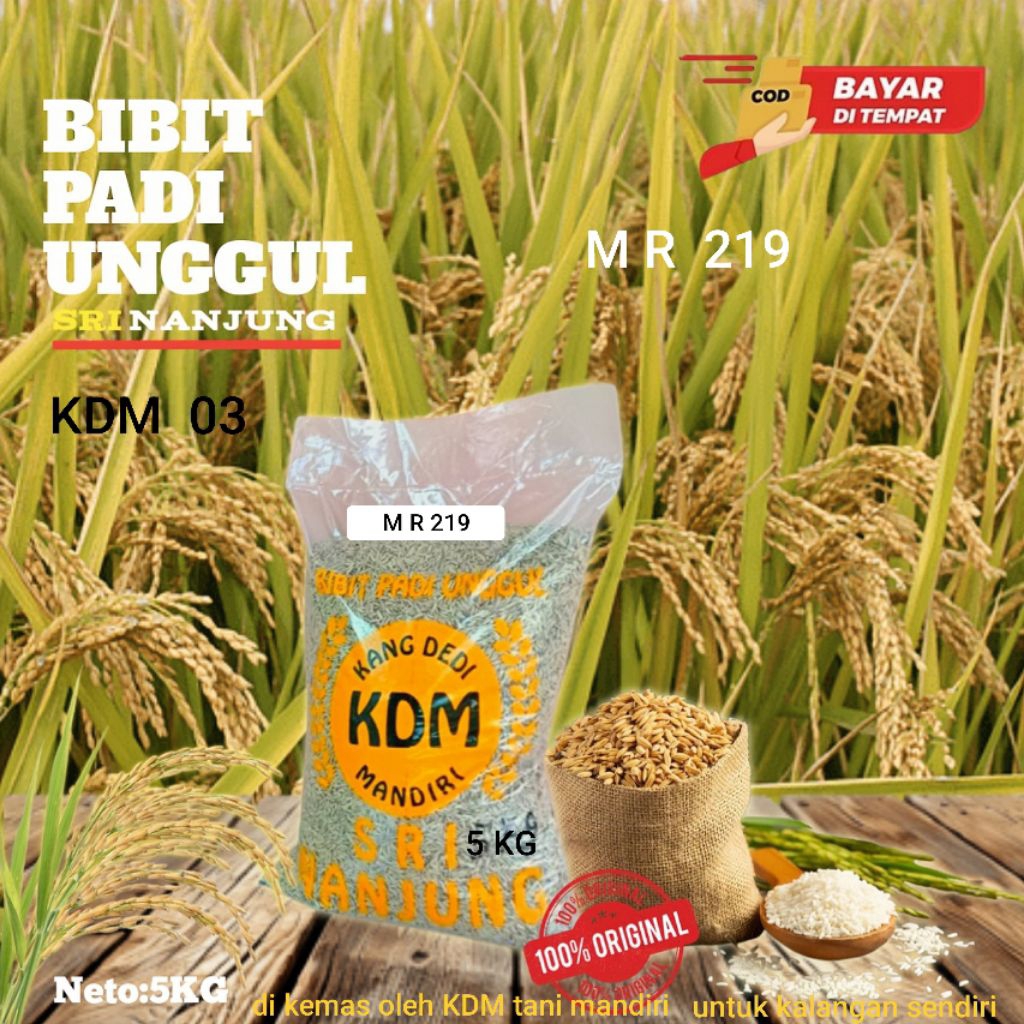 BENIH PADU BIBIT PADI MR 219 KEMASAN 5 KG BIBIT PADI BERKUALITAS UNGGUL