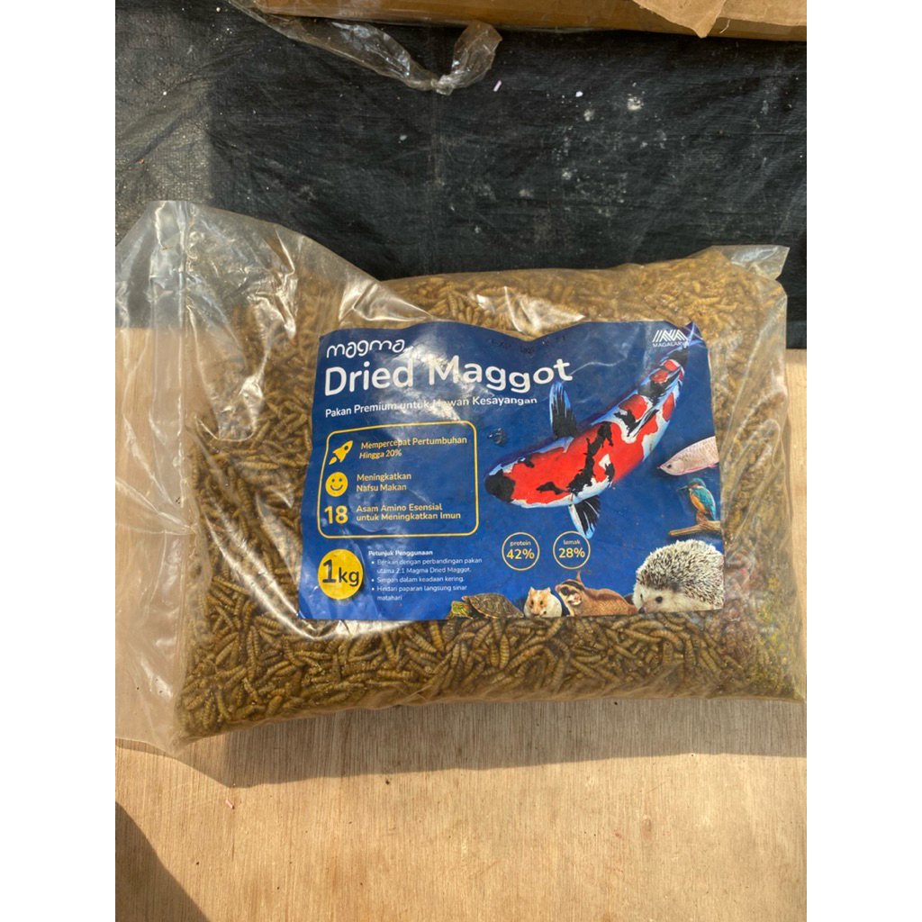 MAGGOT KERING MAGMA PAKAN IKAN KOI