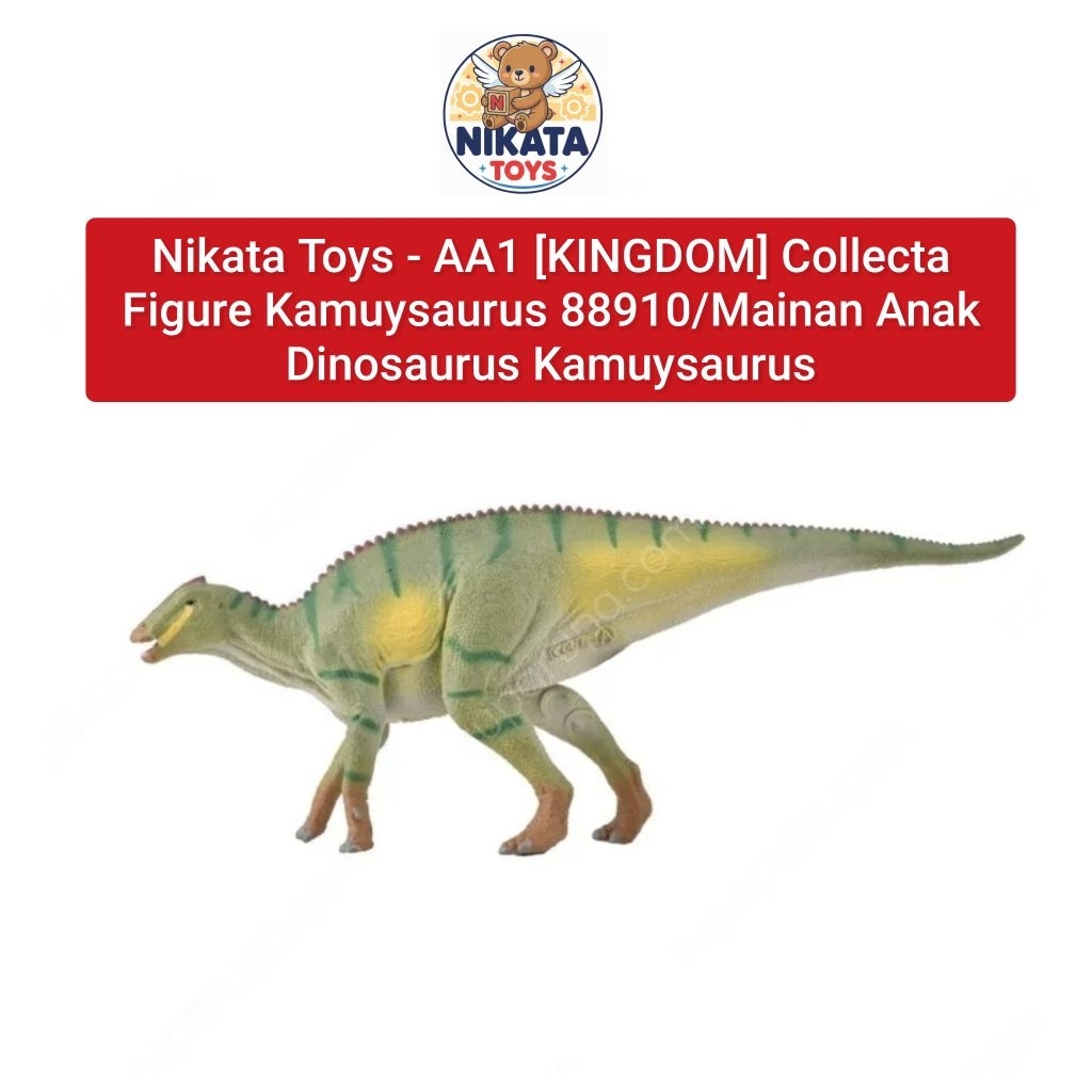 Nikata Toys - AA1 [KINGDOM] Collecta Figure Kamuysaurus 88910/Mainan Anak Dinosaurus Kamuysaurus
