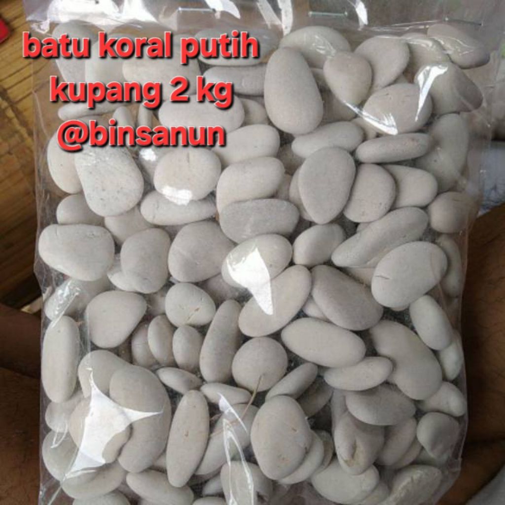 Batu koral putih kupang 2 kg-batu koral putih