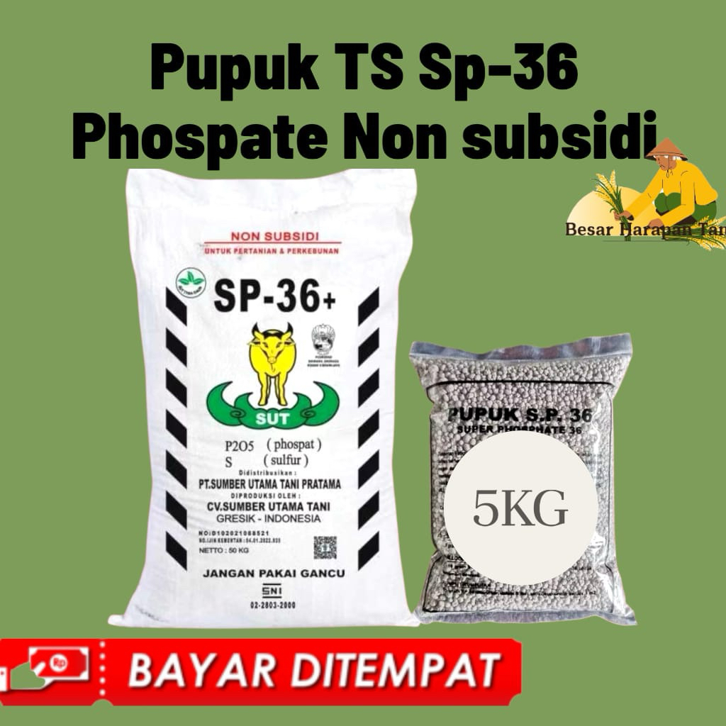 Pupuk Ts Sp-36 Phospate Non Subsidi Repack 5Kg