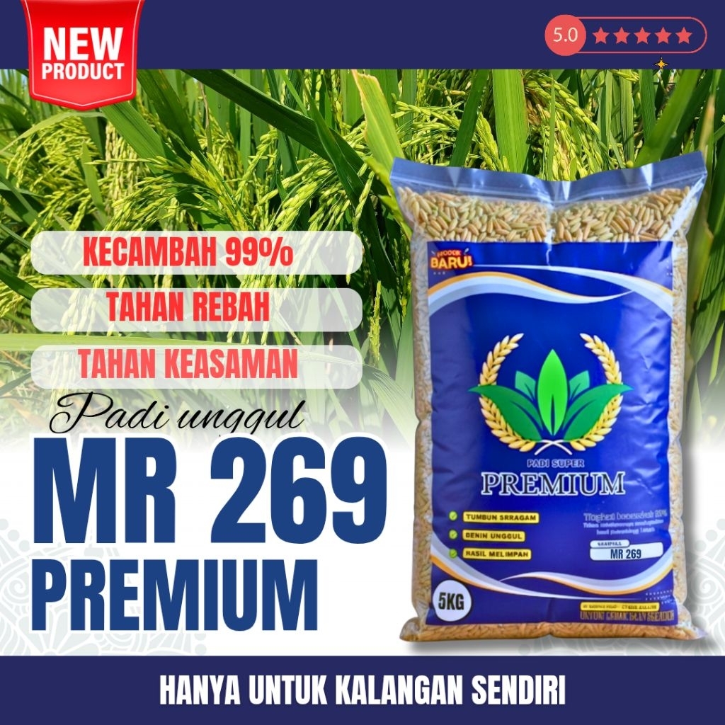 Benih padi unggul mr 269 original 5kg