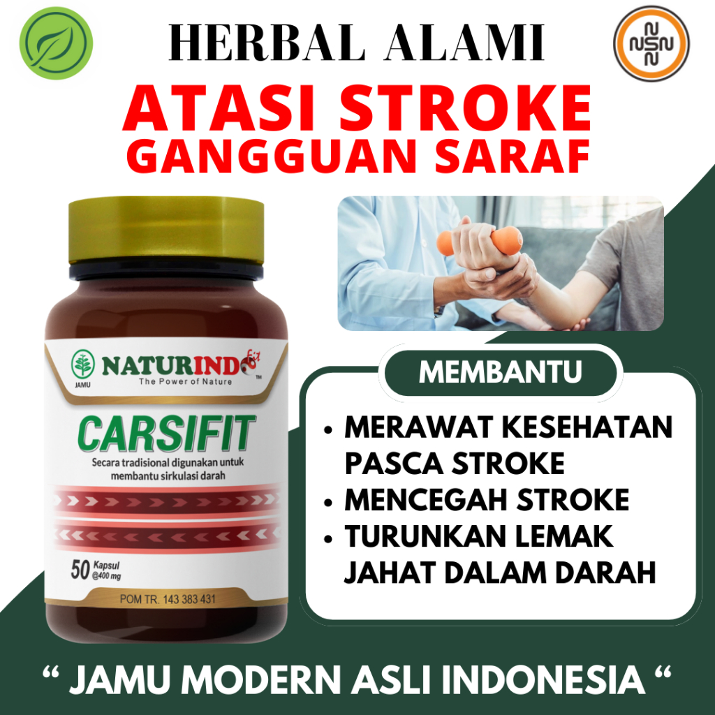 Obat Herbal Stroke Terapi Penyembuhan Stroke Ringan Berat Saraf Tubuh MatiRasa Penyumbatan NATURINDO