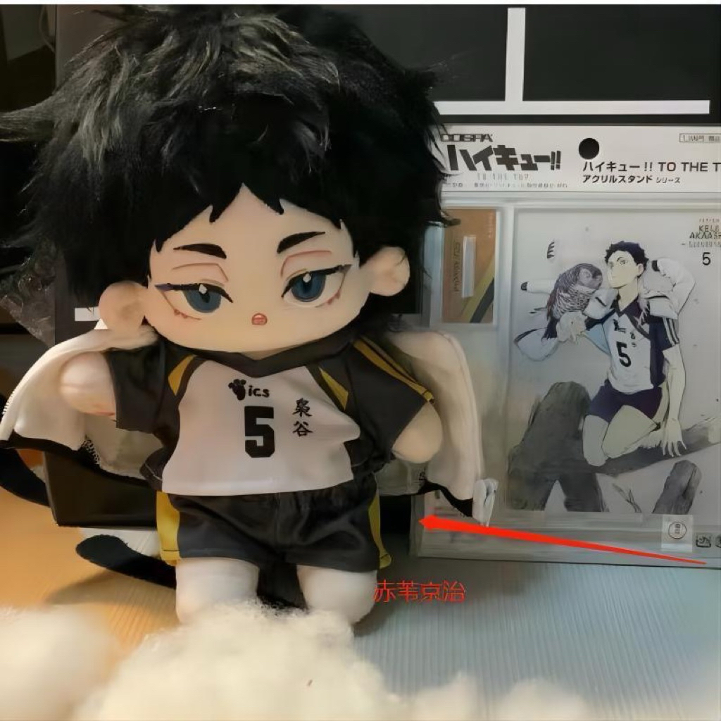 [PRE ORDER CHINA] (BACA DESKRIPSI) Doll Keiji Akaashi 20 cm Ver 1 Haikyu