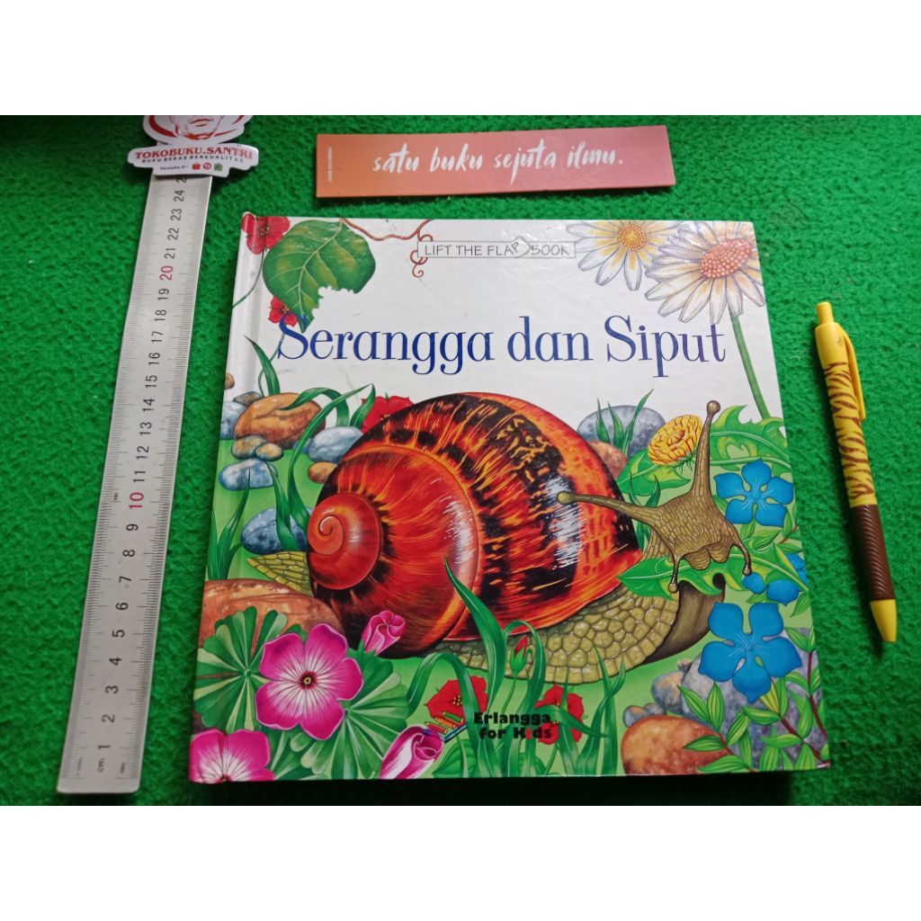 Buku Lift the Flap Book : Serangga dan Siput by Erlangga for Kids.