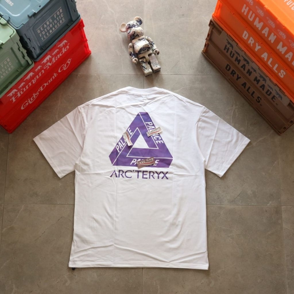 TEE ARC "ARCTERYX X PALACE" OG 1:1 JPN MARKET
