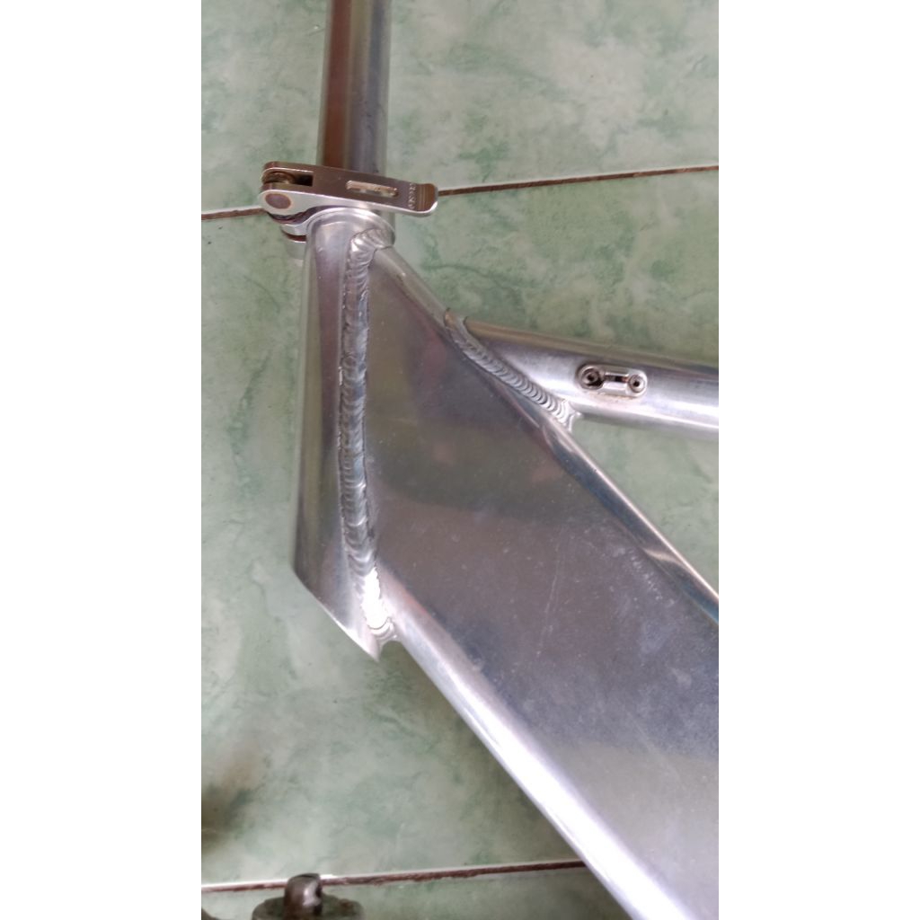 Frame gary Fisher elevated