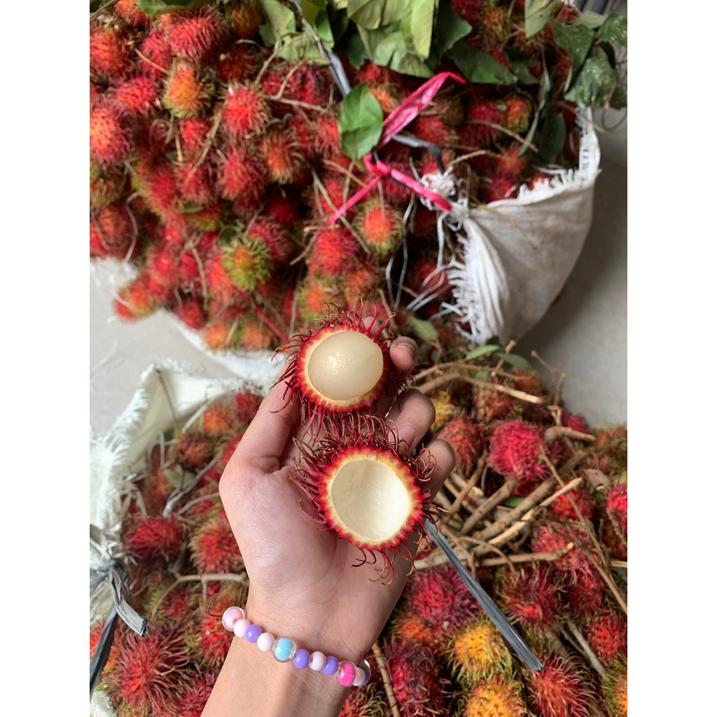 Rambutan Binjai 1kg
