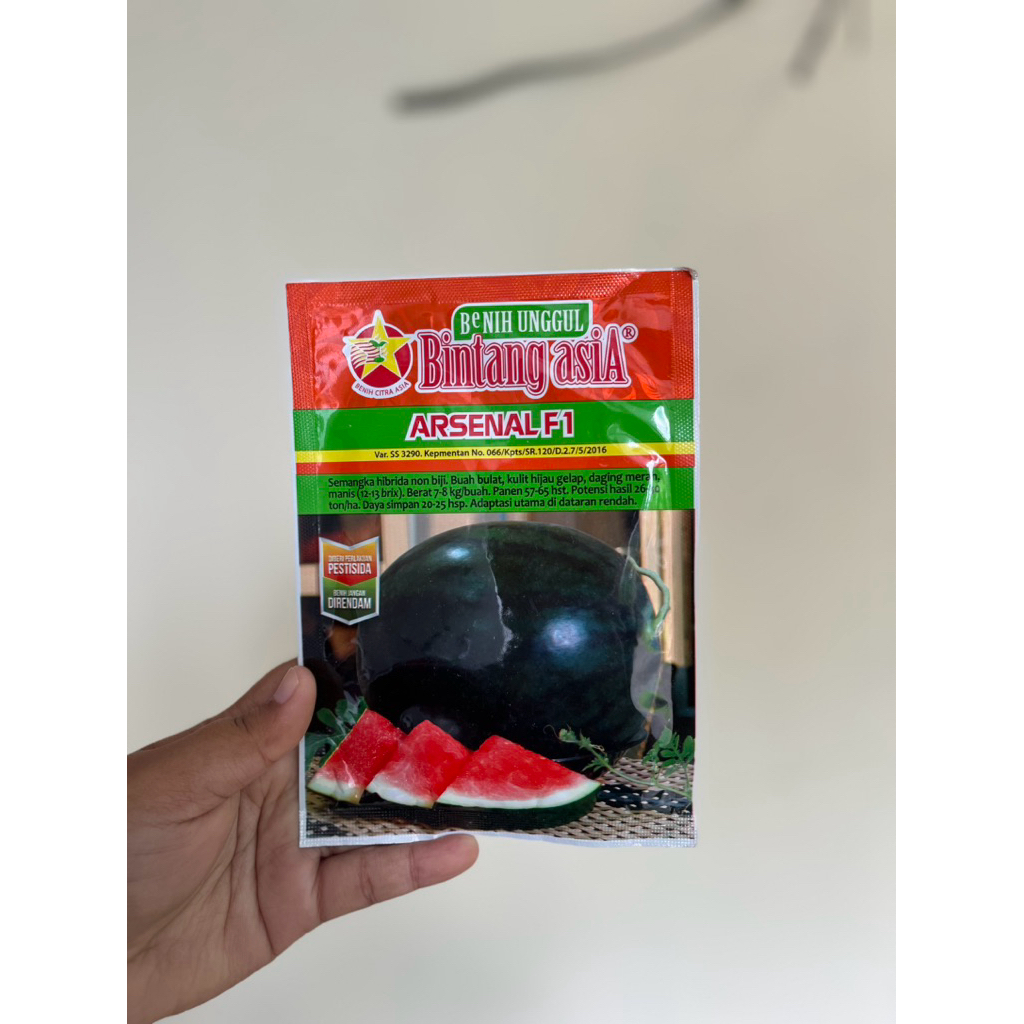 Benih Semangka Arsenal F1 non biji bintang citra asia
