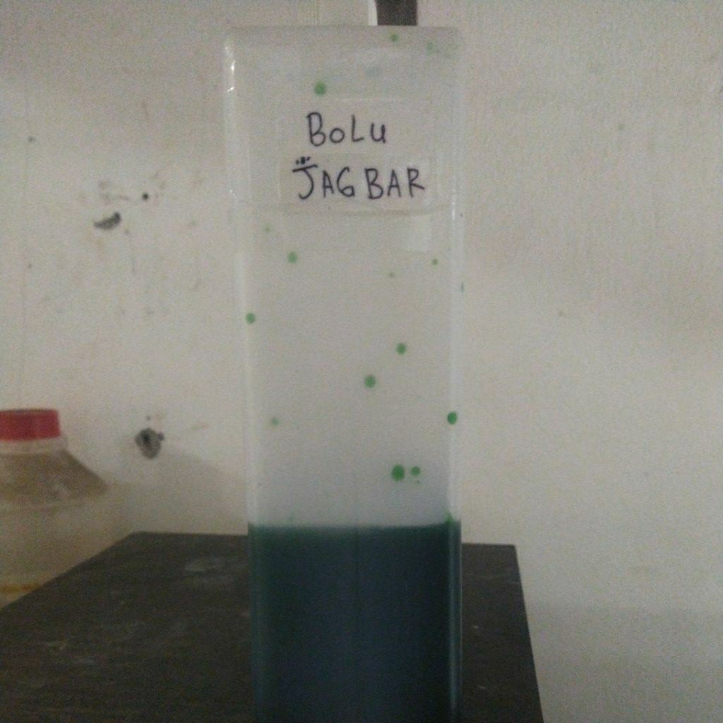 esen bolu jagung bakar 1pcs 30ml