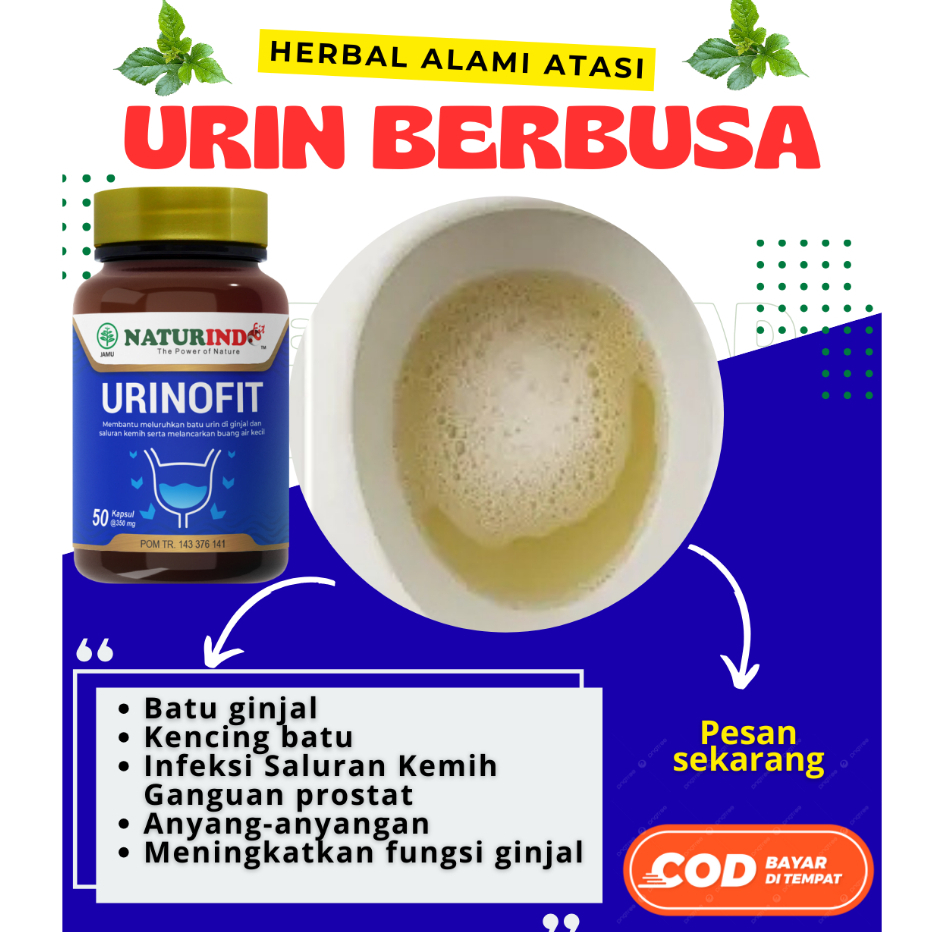 Obat Urin Berbusa Kencing Manis Isk Berbuih Urinofit Herbal Naturindo