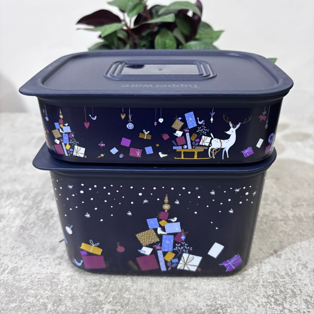 Baseline Tupperware / kotak makan Tupperware / lunch box Tupperware / kotak snack Tupperware