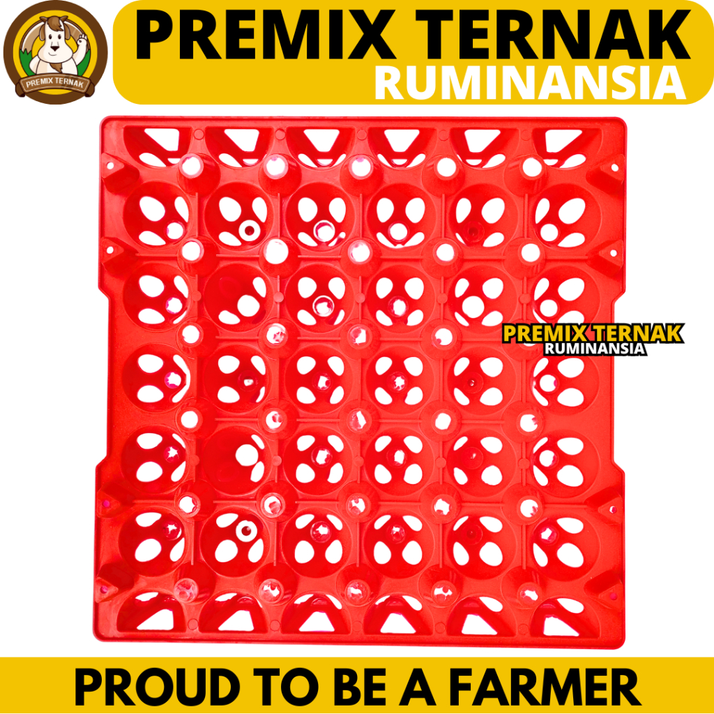 EGG TRAY MERAH KECIL - Tempat Telur Ayam 30 Butir GRADE A MEDION - Krat Telur