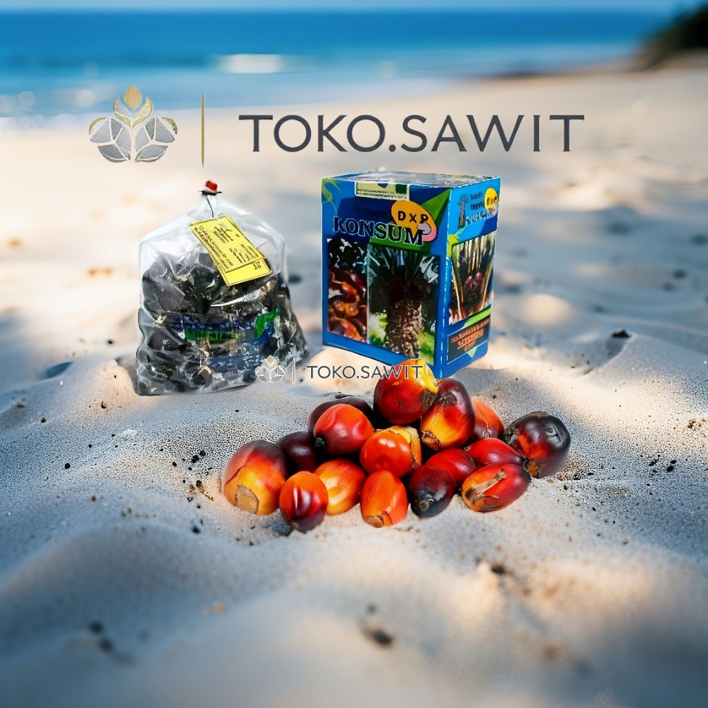 Jual Benih polong LONSUM sawit unggul Original SERTIFIKAT