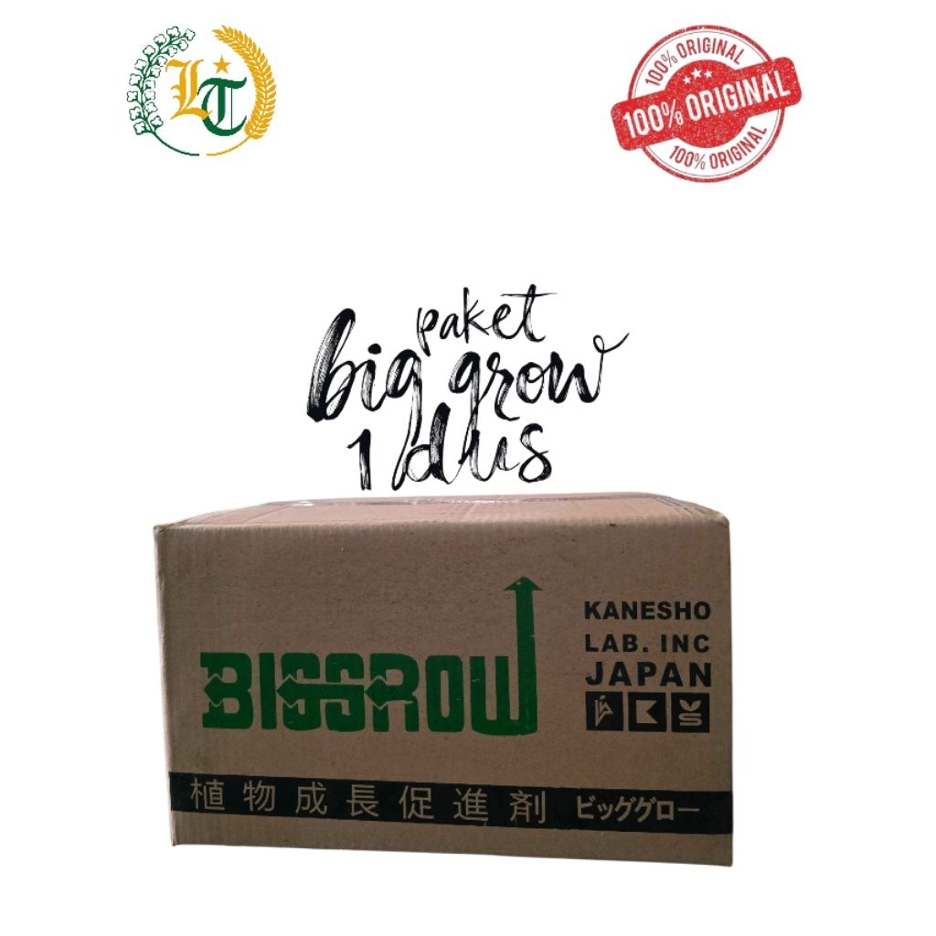 Pupuk ZPT BIG GROW 20WP 5gram Pembesar buah 300 sachet