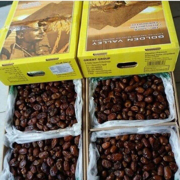 Grosir Kurma Golden Valley 10kg Kurma Manis Legit Golden Valley Kurma Mesir Murah Enak