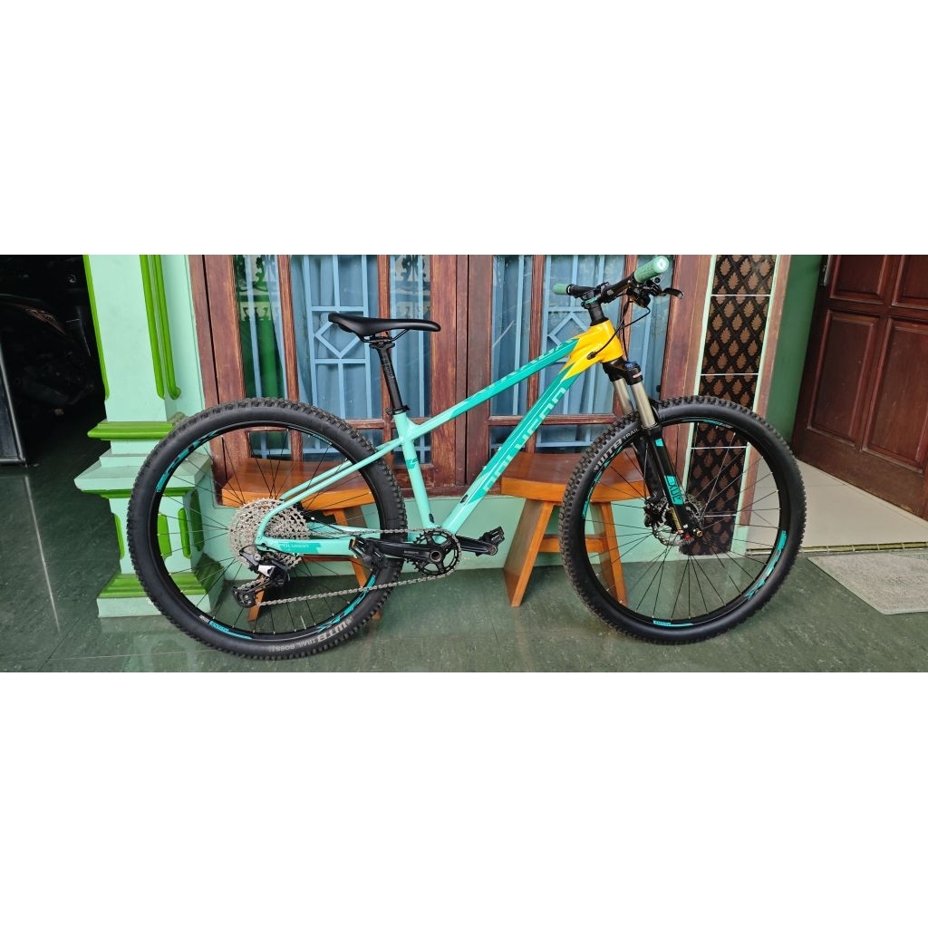 polygon xtrada 7 2021