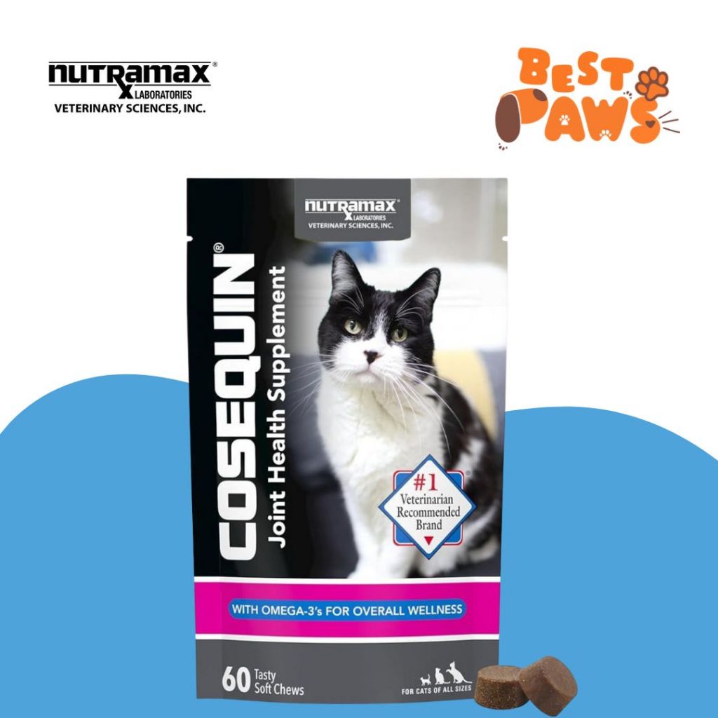 Nutramax Cosequin for Cats Joint Health Supplement - 60 Soft Chews