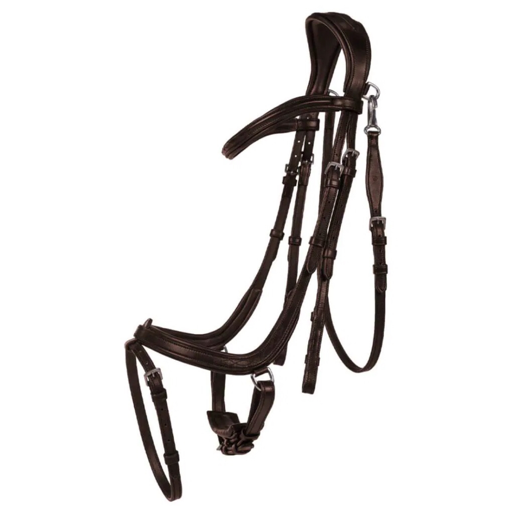 QHP Bridle Salerno