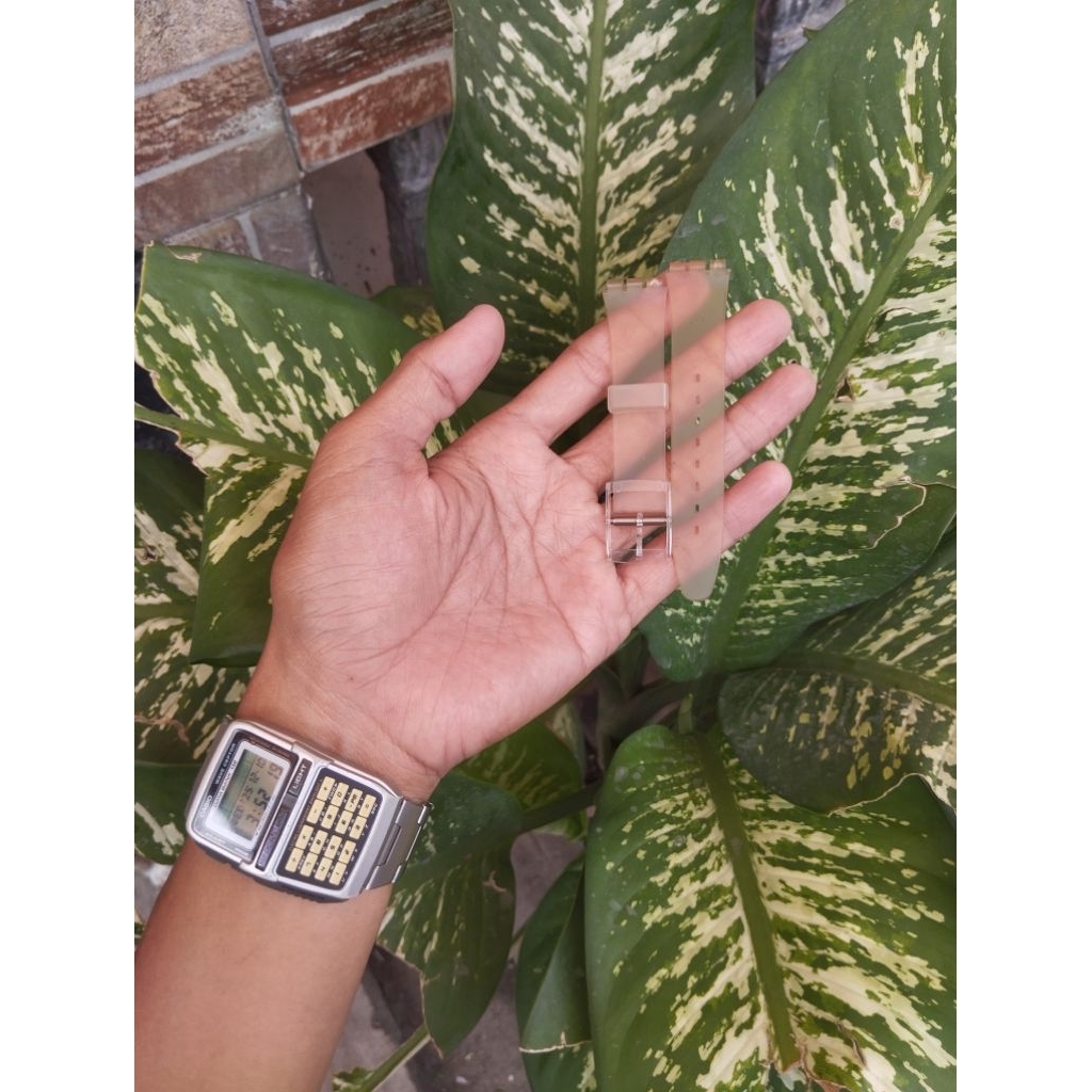 strap swatch original