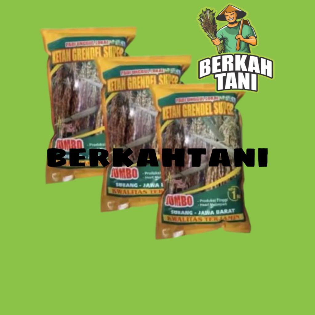 Benih Ketan Grendel Super 1 kg Benih Padi Ketan Putih Dewi Sri Premium Benih Ketan Mapan