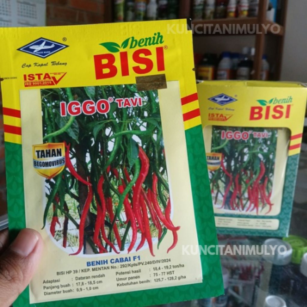 Benih Cabai Keriting  Hibrida IGGO TAVI F1 Cabai Keriting Tahan Virus (10 gram)