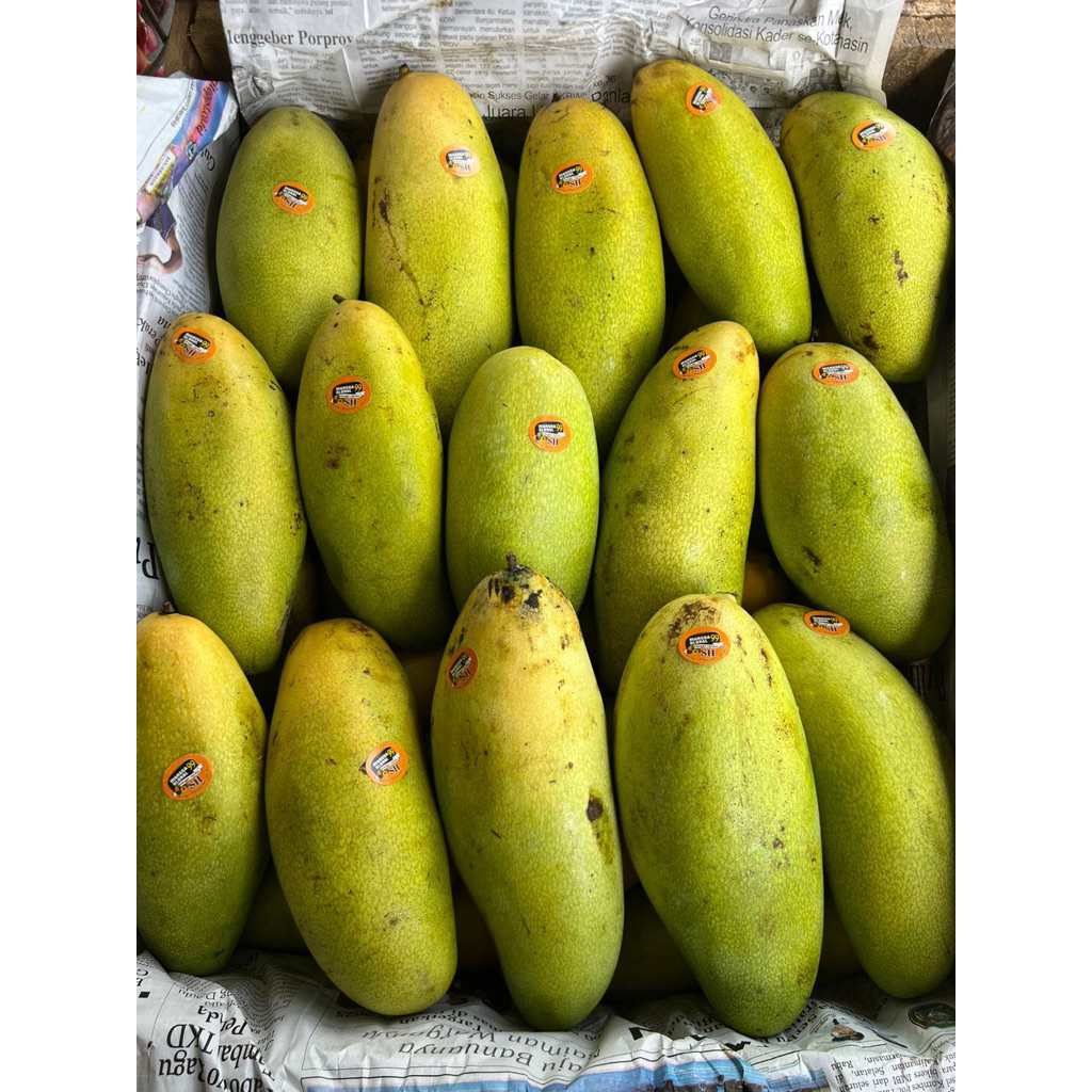 Mangga Golek