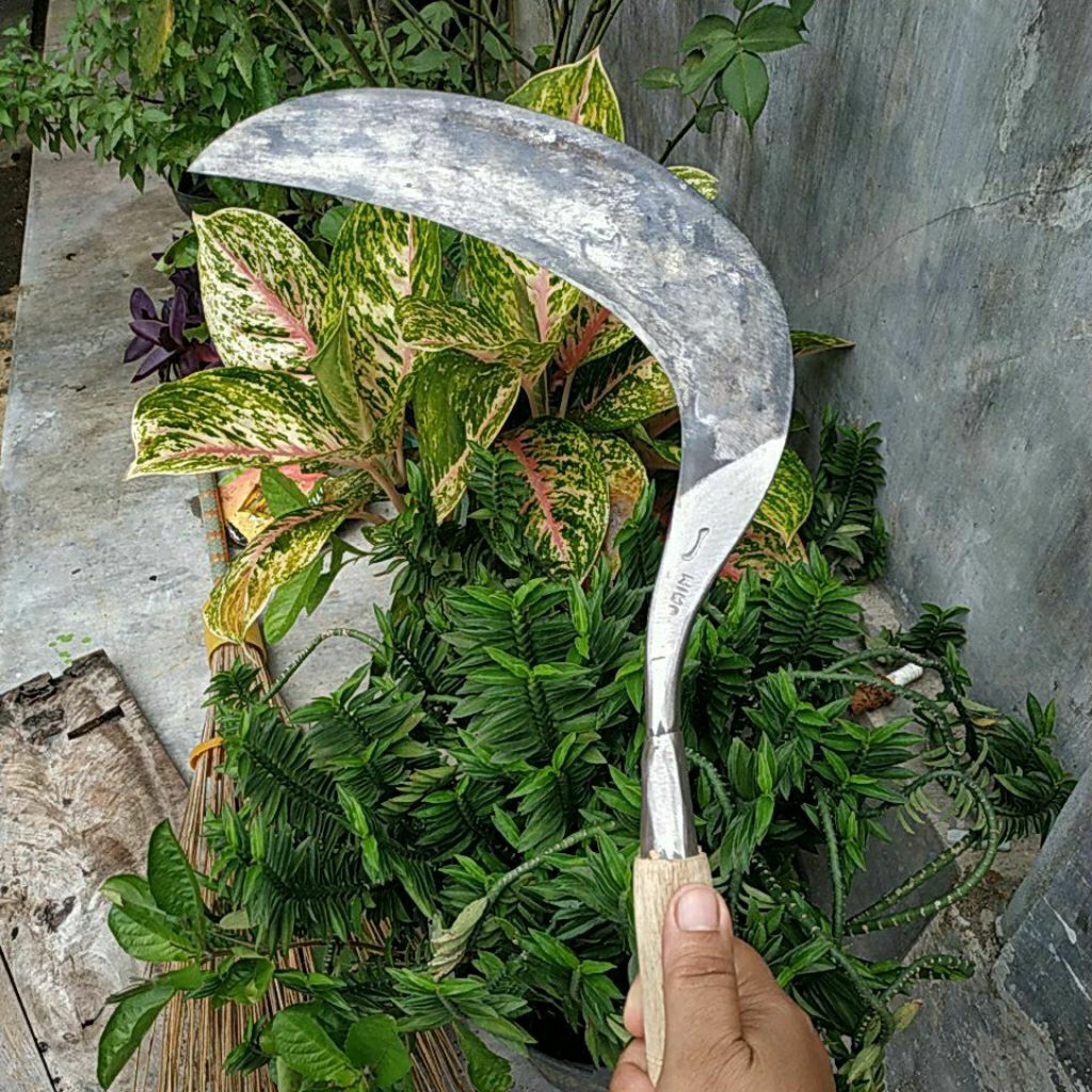 SABIT RUMPUT BAJA ISEN UKURAN KECIL