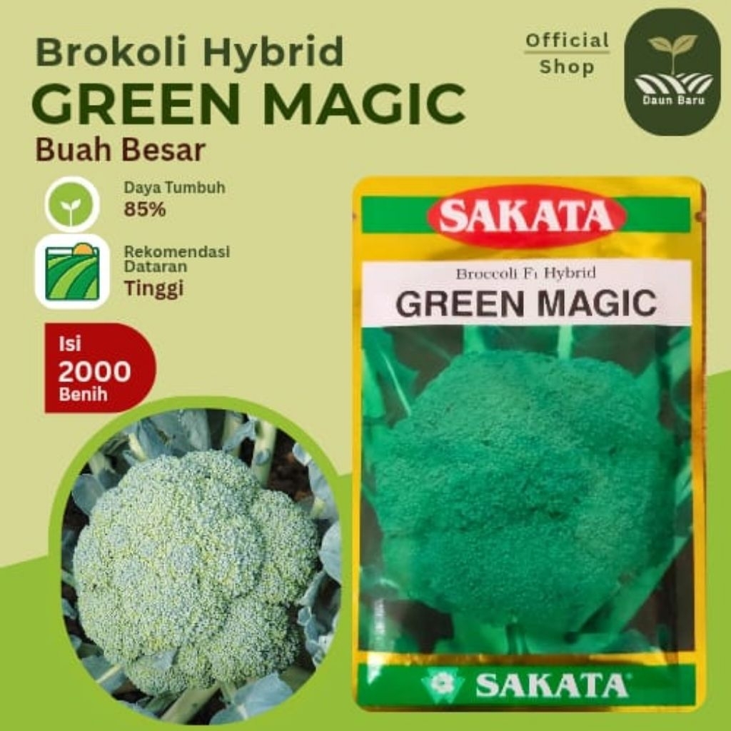 Benih Brokoli Hybrid GREEN MAGIC Isi 2000 Butir