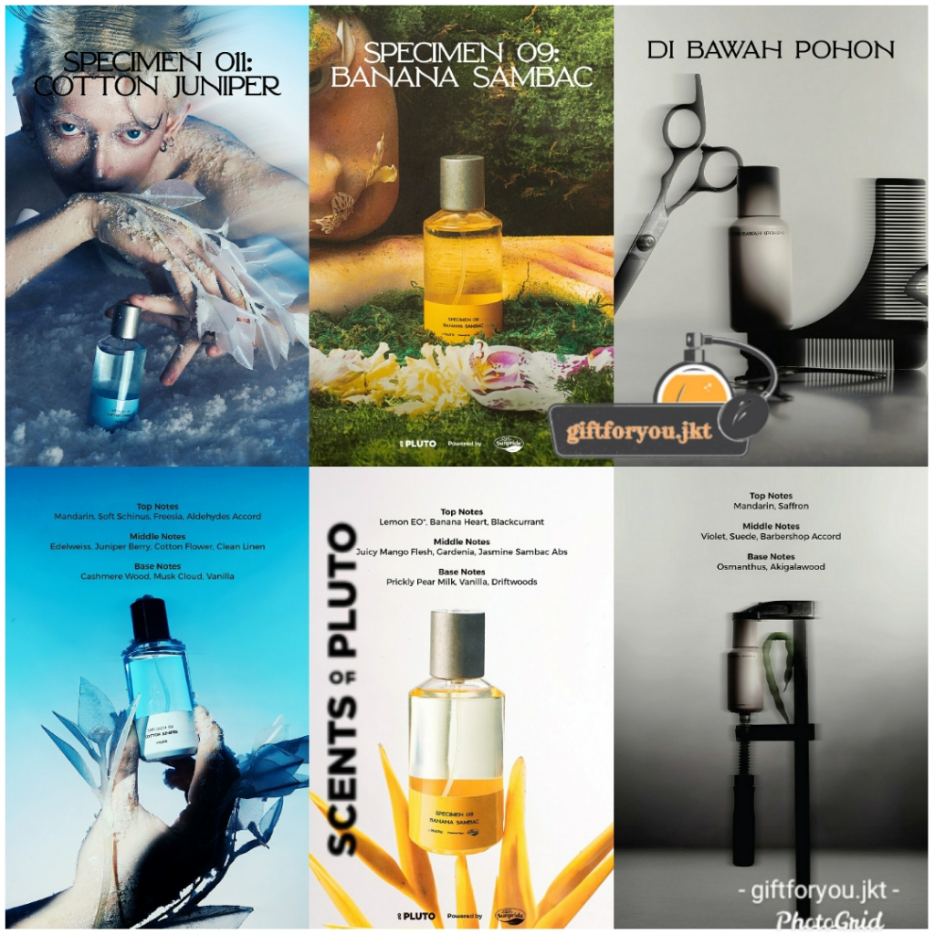 Scents Of Pluto Specimen 011 Cotton Juniper Specimen 09 Banana Sambac Di Bawah Pohon Fragrance Scent