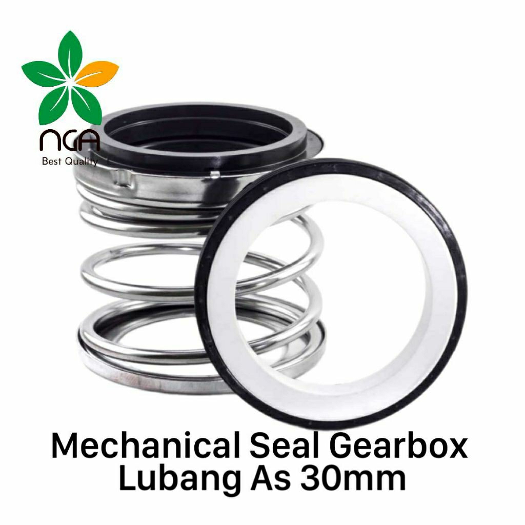 Mechanical Seal Gearbox Lubang As 30mm