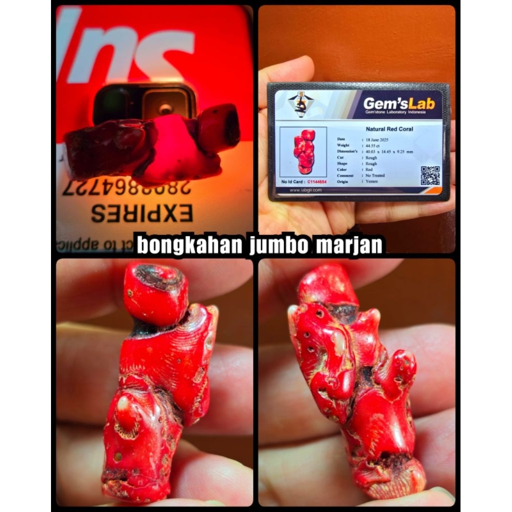 bongkahan / rough batu Marjan merah antik ya