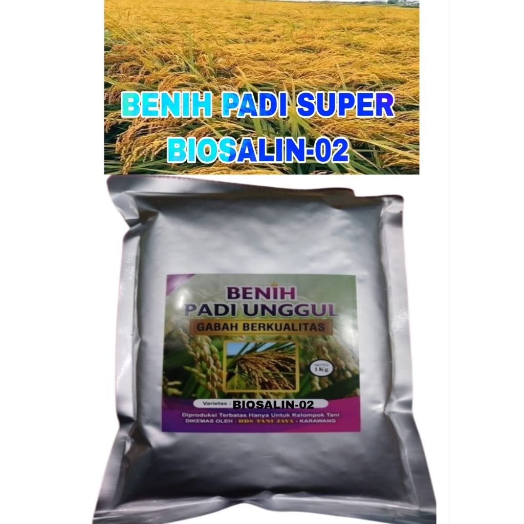 1KG BENIH PADI BIOSALIN-02 ORIGINAL LABEL PUTIH