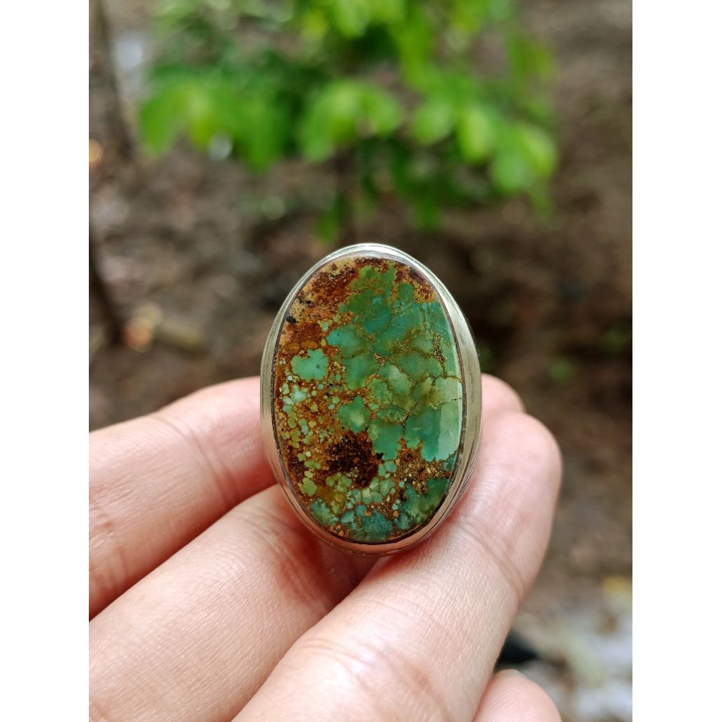 pirus Persia ijo kedondong