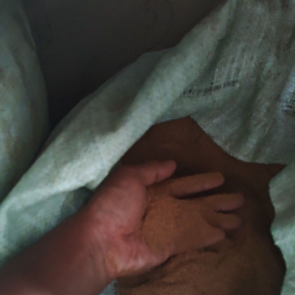 Bungkil kedelai harga kg 100% murni ampas kedelai SBM soy bean meal BKK campuran pakan ternak kering