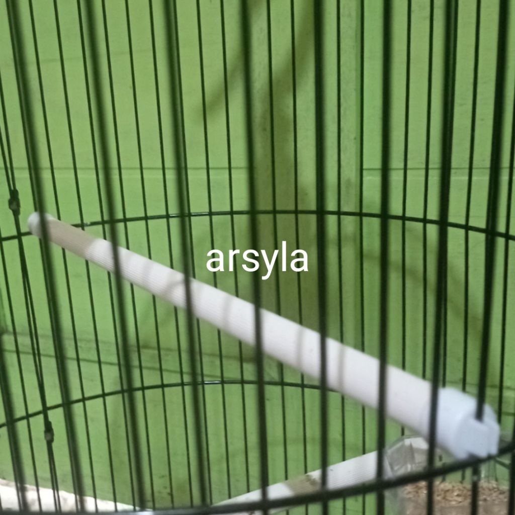 tangkringan sangkar burung Lovebird dragon