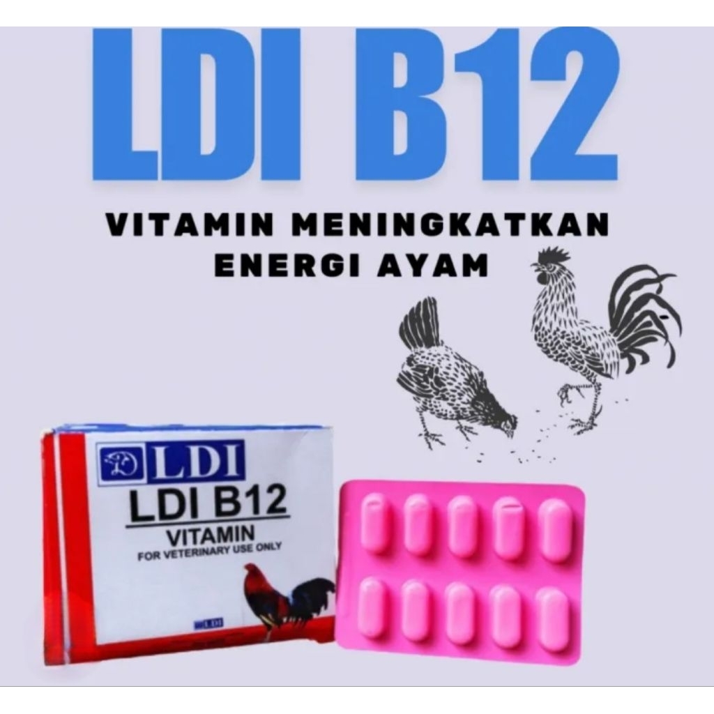 Ldi B12 pilliphines vitamin obat ayam