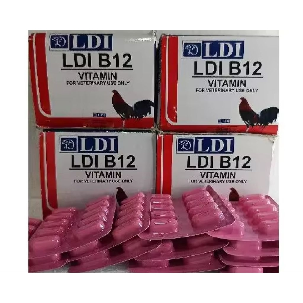 B12 LDI VITAMINS OBAT AYAM DAYA TAHAN STAMINA AYAM