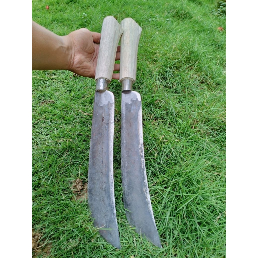 GolokBajaKupasKelapaMuda