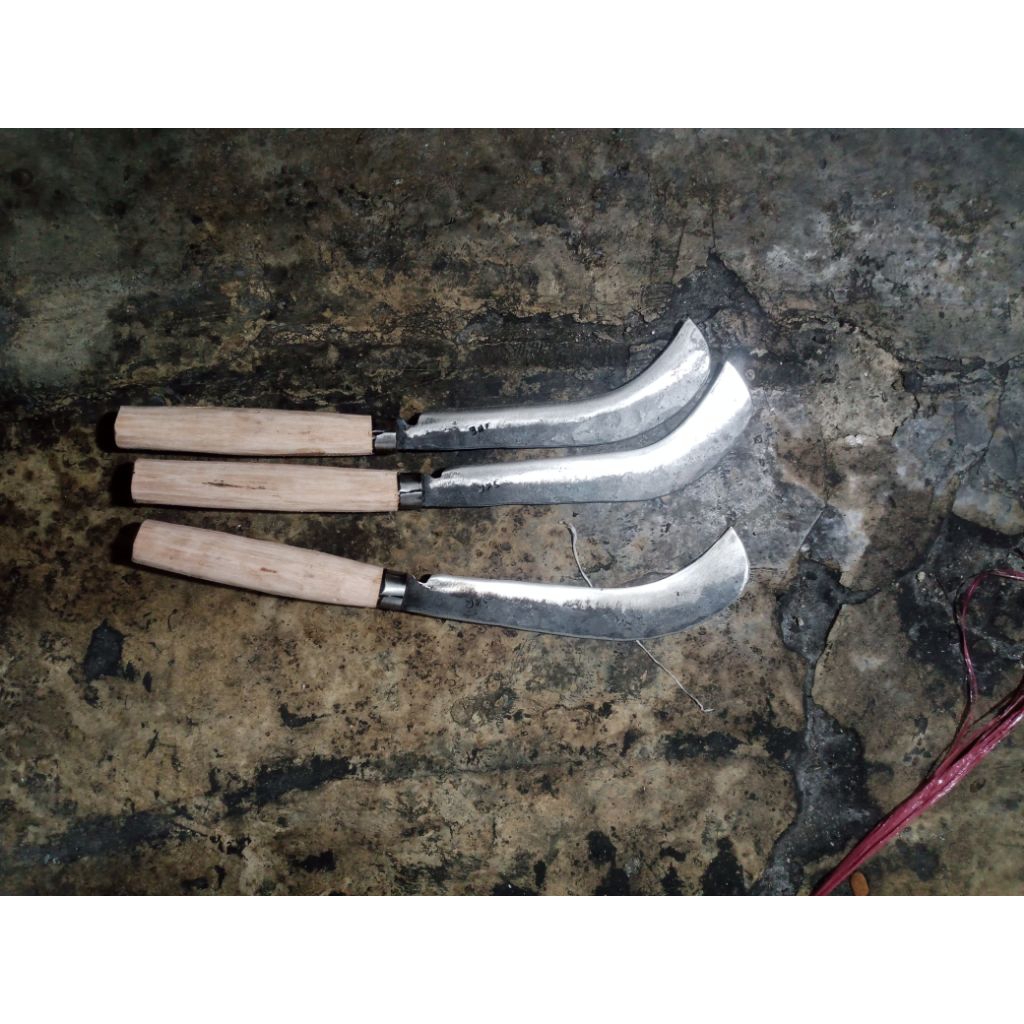 Arit Mini Alat Pertanian | Sabit Rumput Gagang Kayu