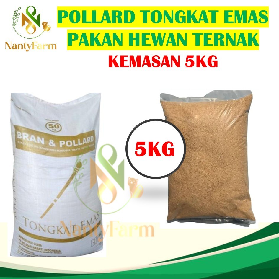 Pollard 5 kg Cap Tongkat Emas Kemasan 5 kg Polar Makanan Ternak Pakan Ternak