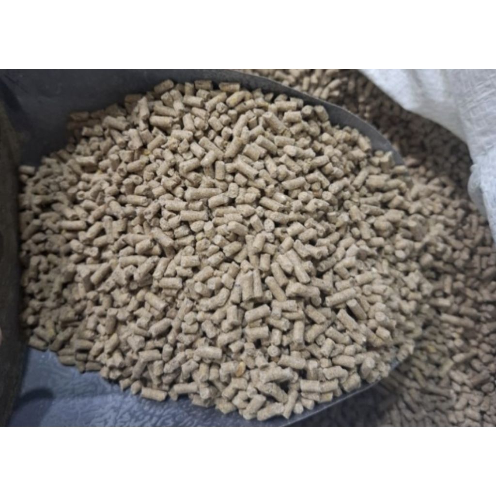 Pakan Voer pellet Pur babi starter pakan ternak