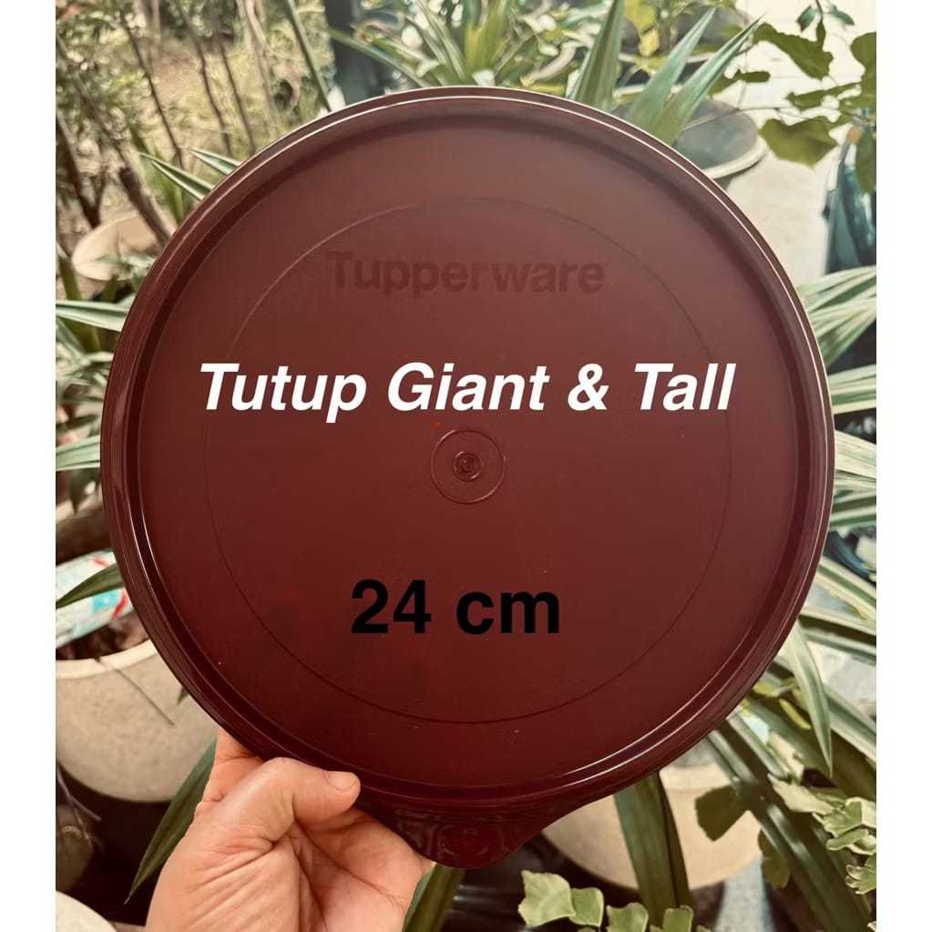 tutup tall canister tupperware diameter 24 cm