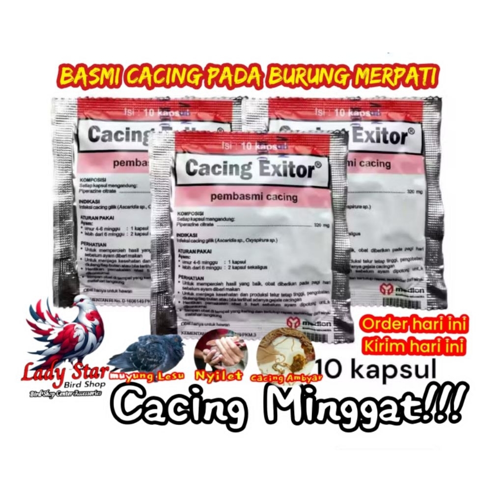 CACING EXITOR ISI 10 KAPSUL OBAT BURUNG MERPATI AYAM SAKIT BURUNG CACINGAN UNGGAS OBAT PEMBASMI CACI